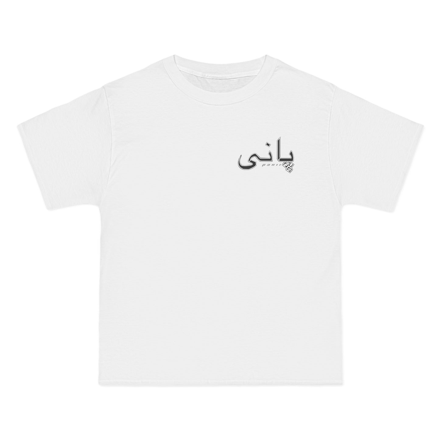 Oversized "Saafpanii" T - Shirt